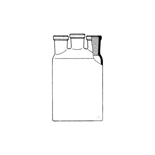 Woulff bottles with 3 ST-necks
